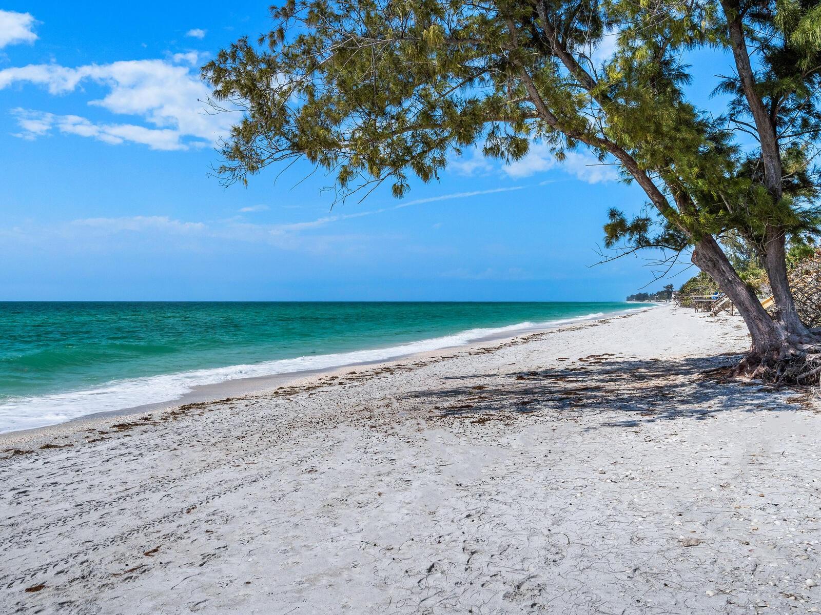 Image 5 of 12 For 1604 Casey Key Road
