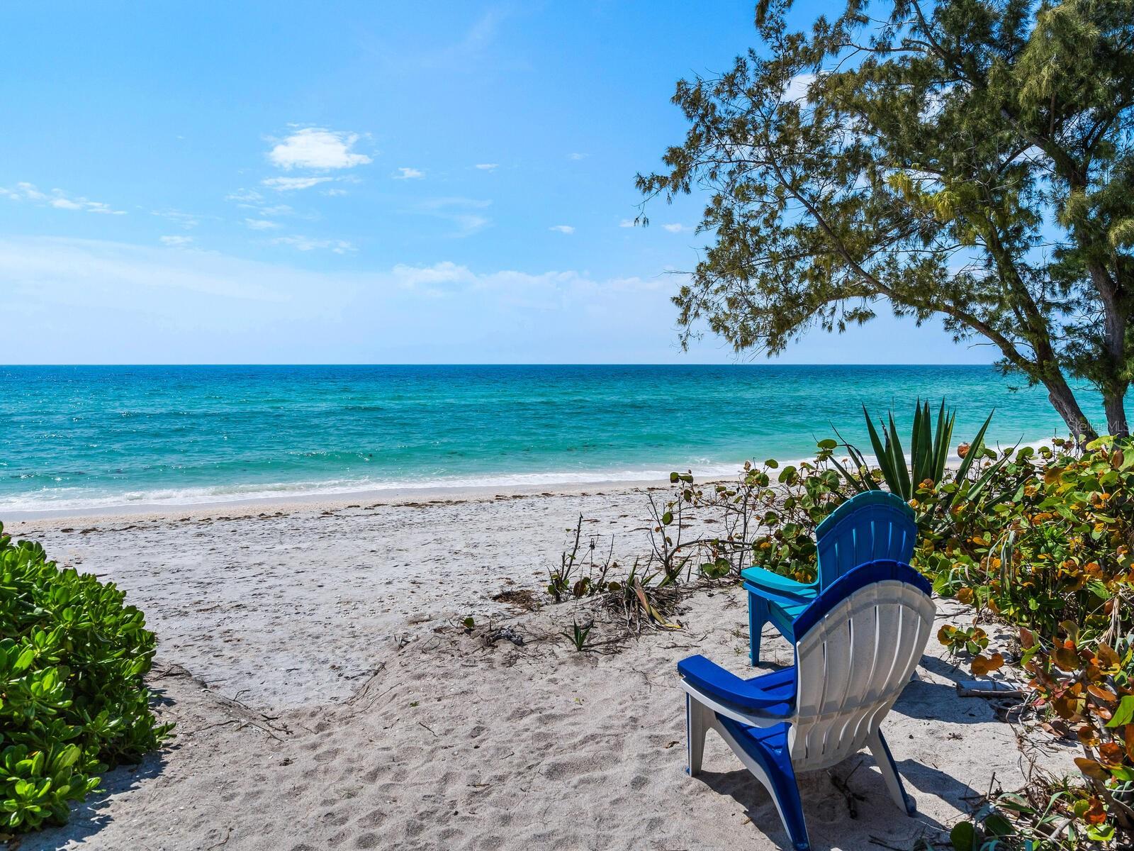 Image 6 of 12 For 1604 Casey Key Road