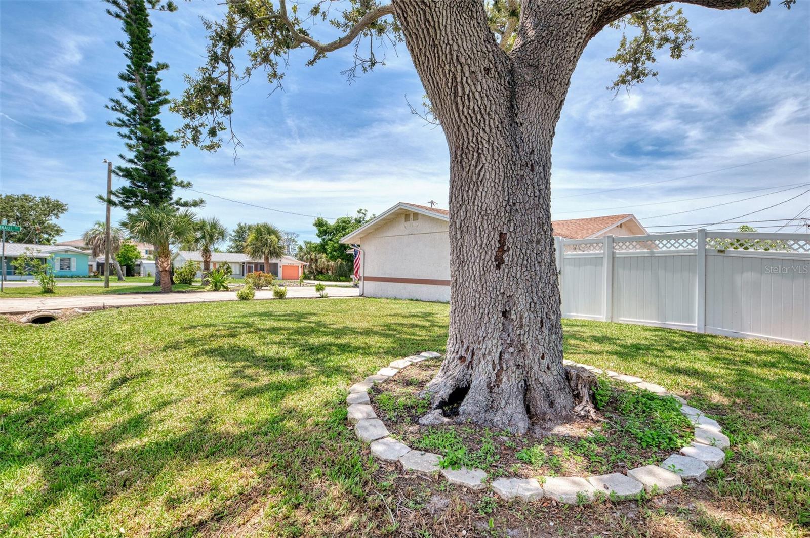 Image 8 of 56 For 1672 Jupiter Road