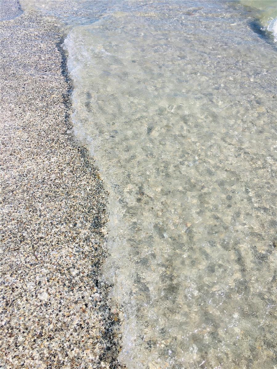 Image 99 of 99 For 10812 Trophy Drive