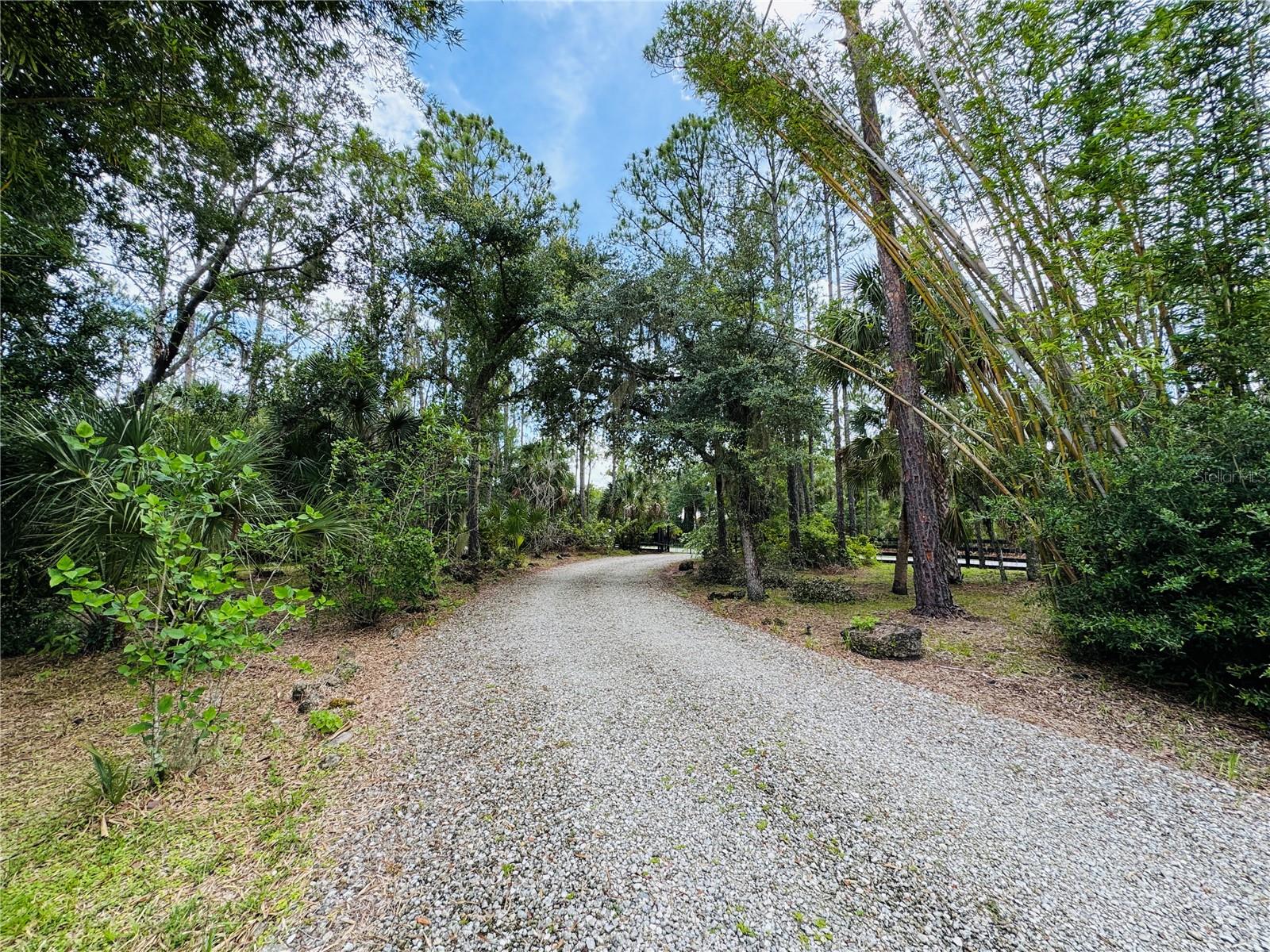 Image 9 of 94 For 6522 Pimlico Street