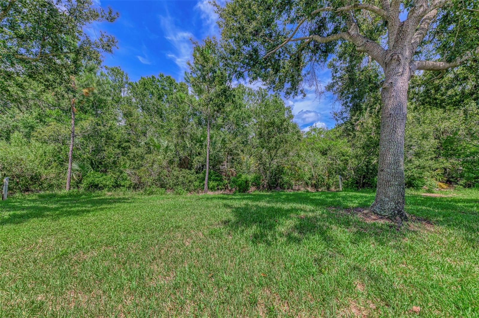 Image 42 of 86 For 9106 Coachman Drive