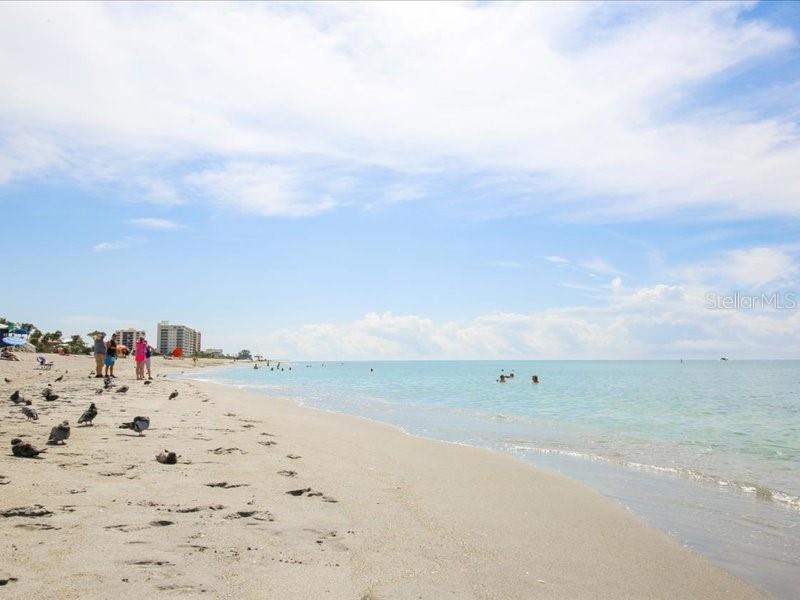 Image 44 of 59 For 1088 Bird Bay Way 307