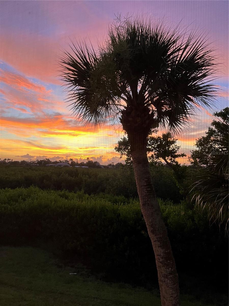 Image 67 of 68 For 1088 Bird Bay Way 307