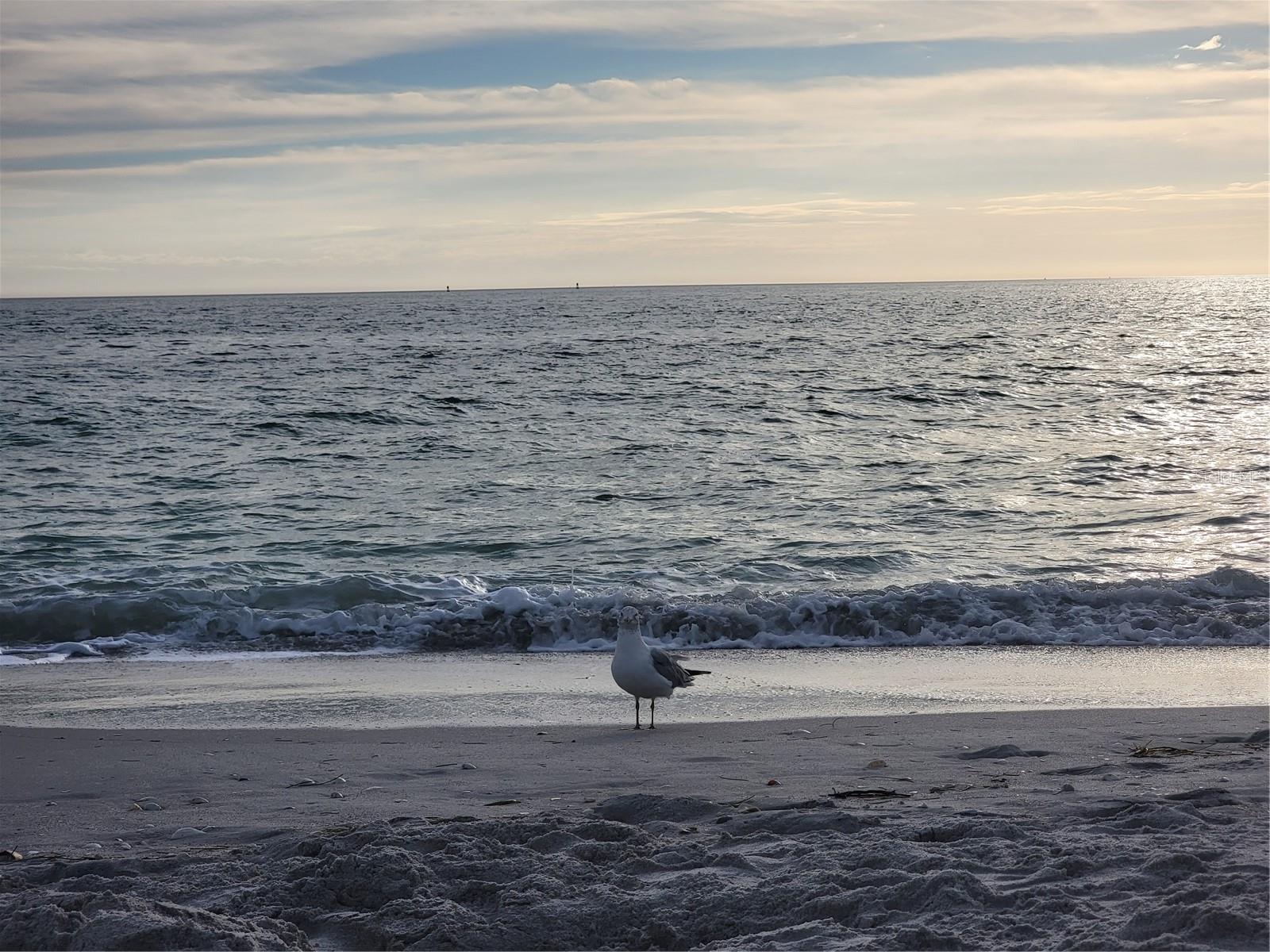 Image 38 of 80 For 15140 Lyneburg Avenue