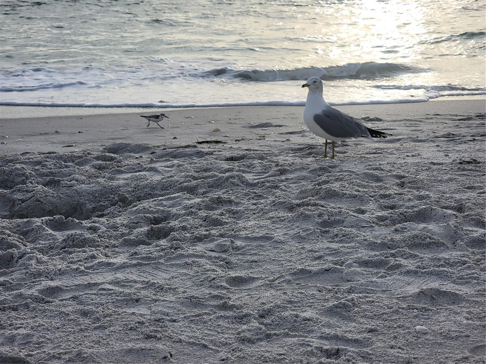 Image 40 of 80 For 15140 Lyneburg Avenue