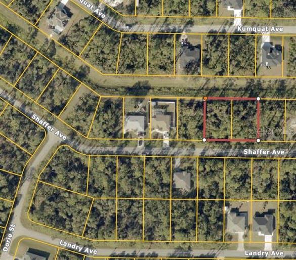 Image 2 of 2 For Shaffer Avenue