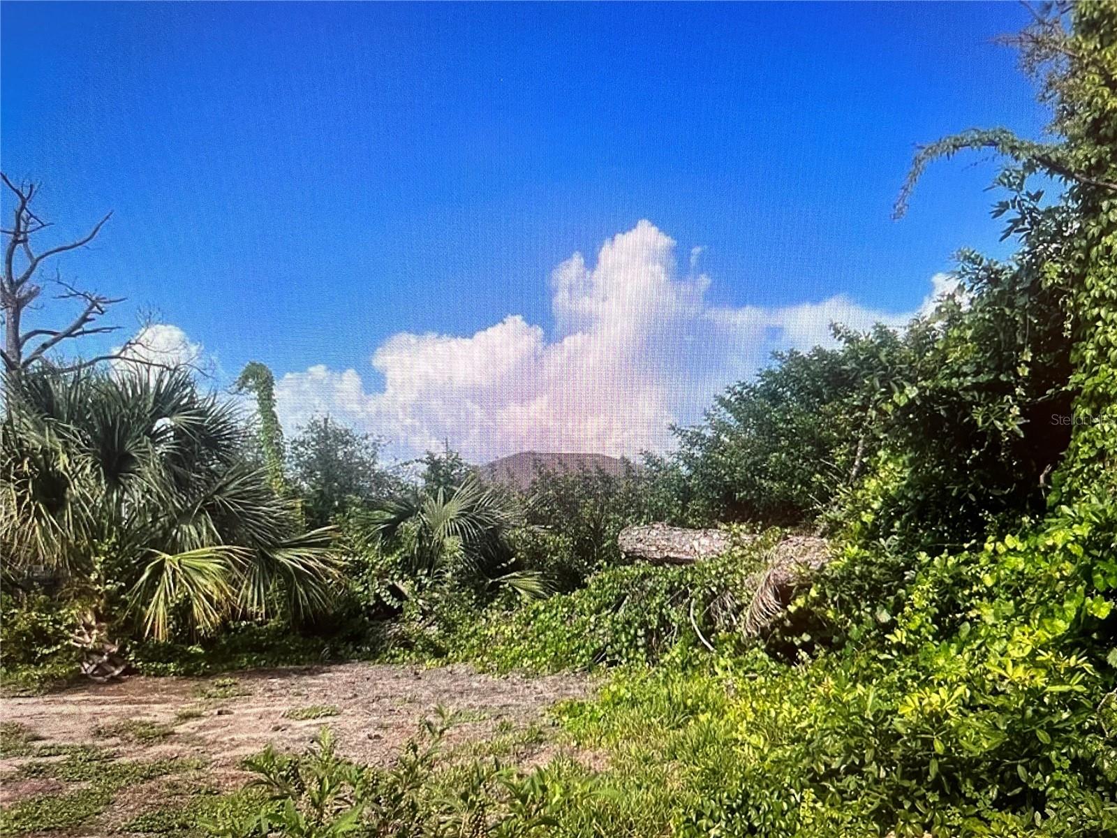 Image 2 of 3 For 7282 Rosemont Drive