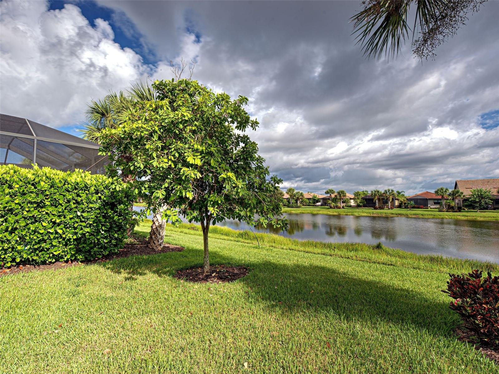 Image 49 of 99 For 13836 Campoleone Street