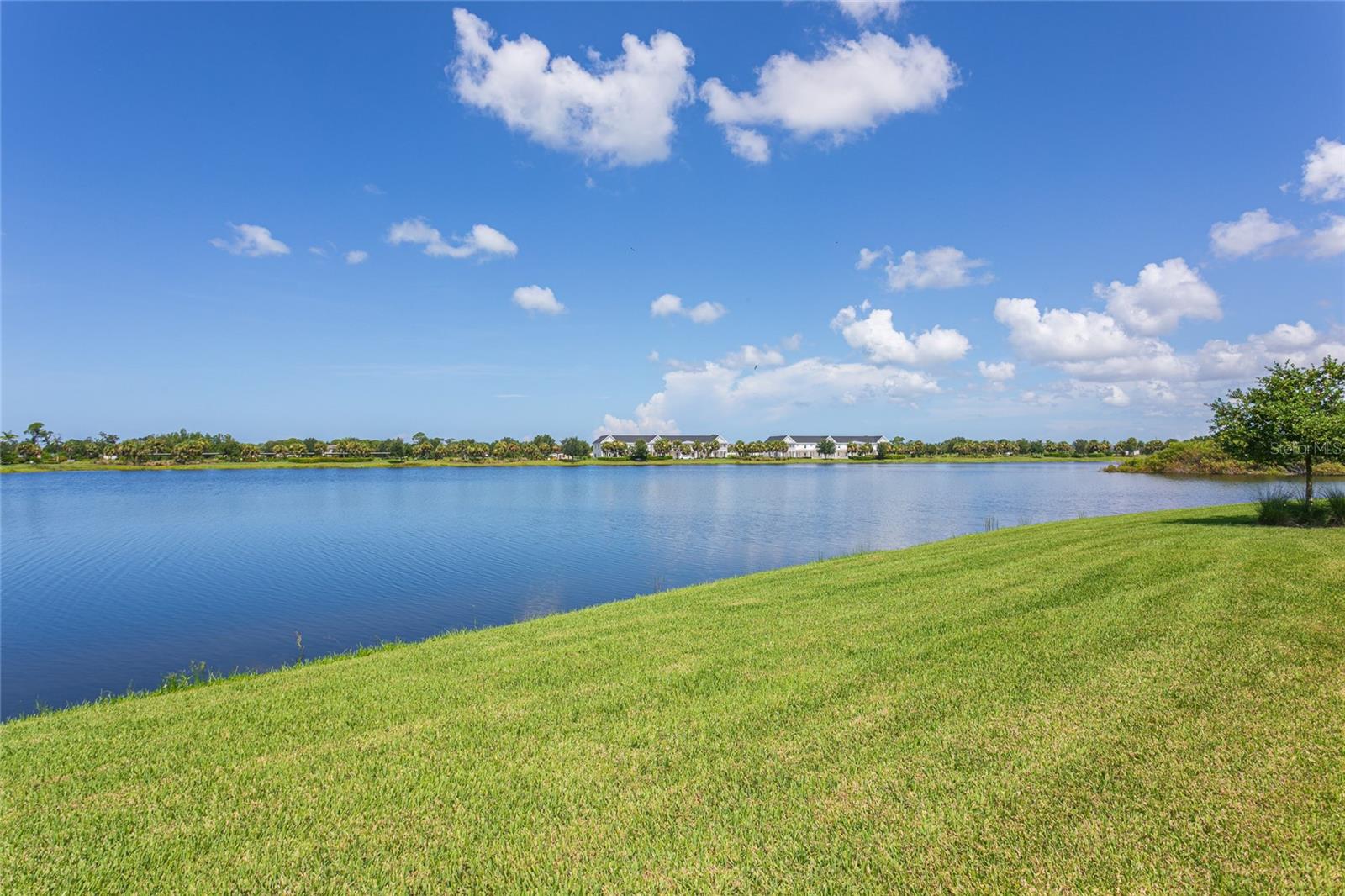 Image 40 of 92 For 15173 Vivaldi Drive