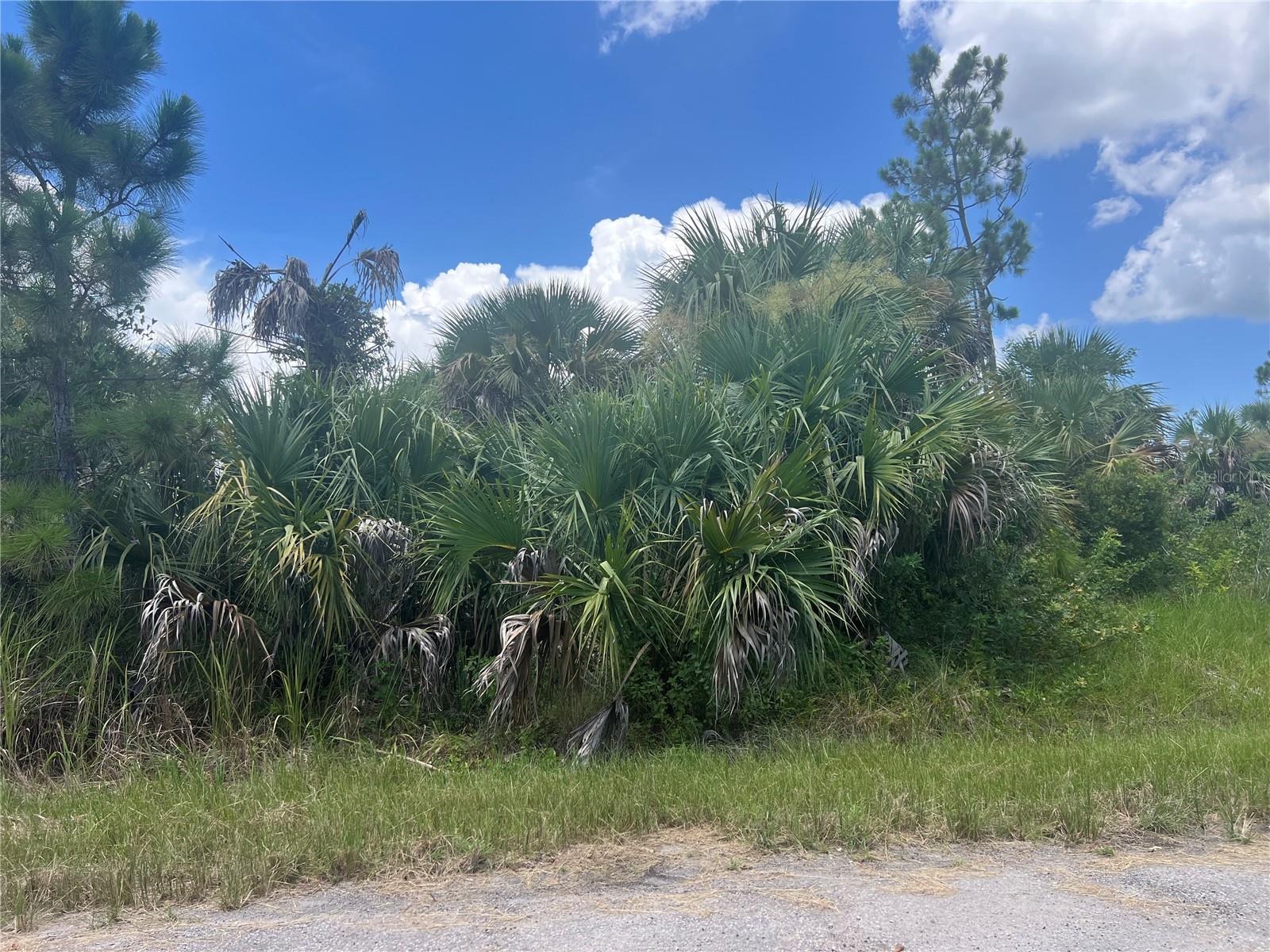 Details for Fiveleaf Road, NORTH PORT, FL 34288