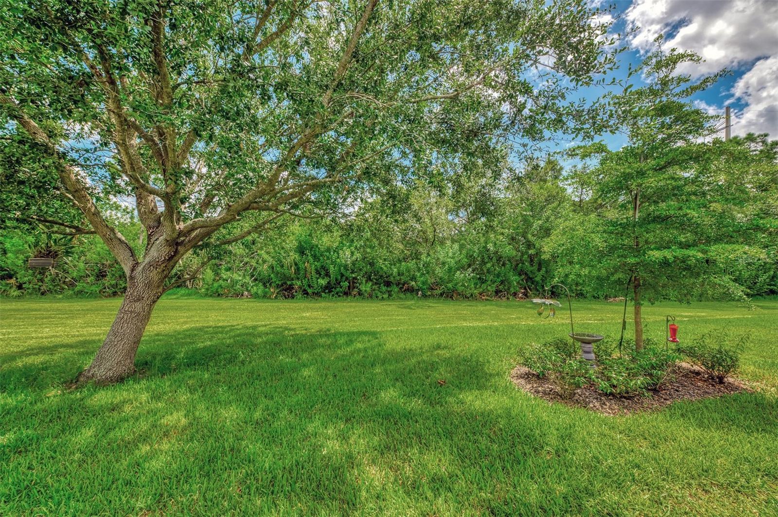Image 44 of 76 For 20636 Capello Drive