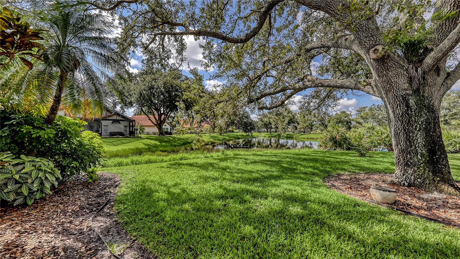 Image 47 of 59 For 1212 Whitney Drive