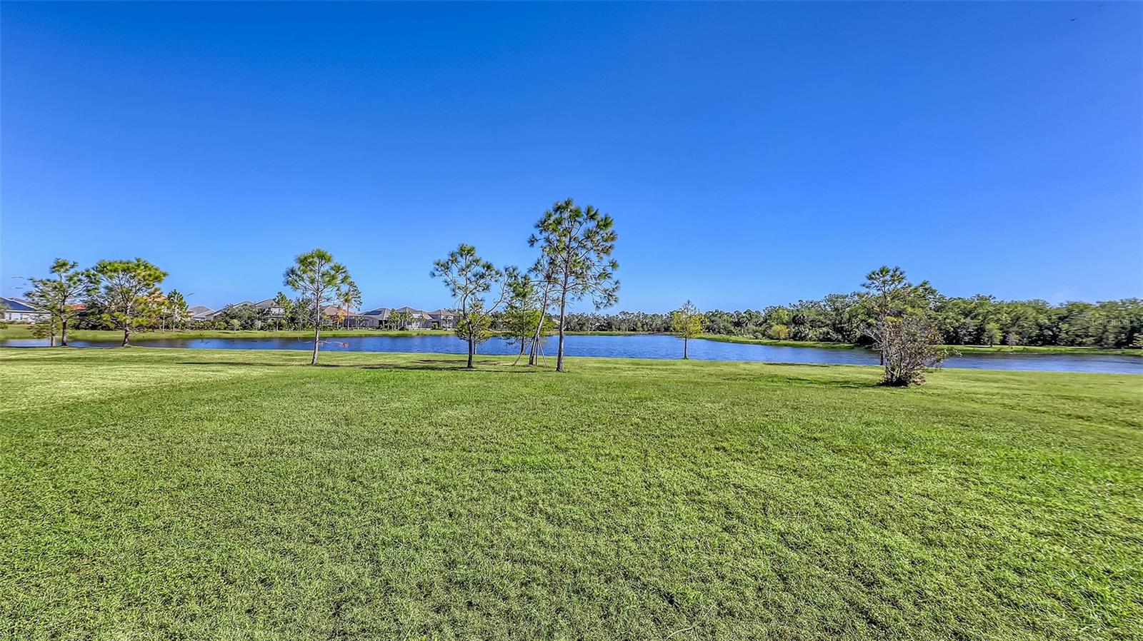 Image 50 of 98 For 12664 Sagewood Drive