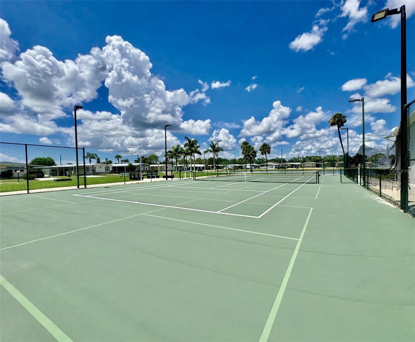 Image 41 of 69 For 113 Rarotonga Road