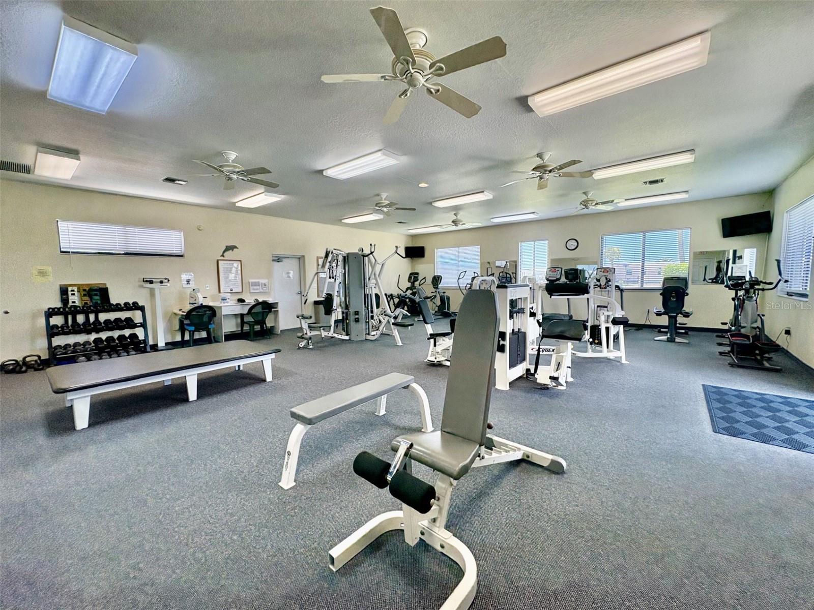 Image 48 of 69 For 113 Rarotonga Road