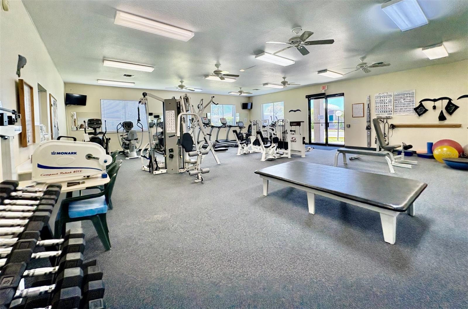 Image 49 of 69 For 113 Rarotonga Road