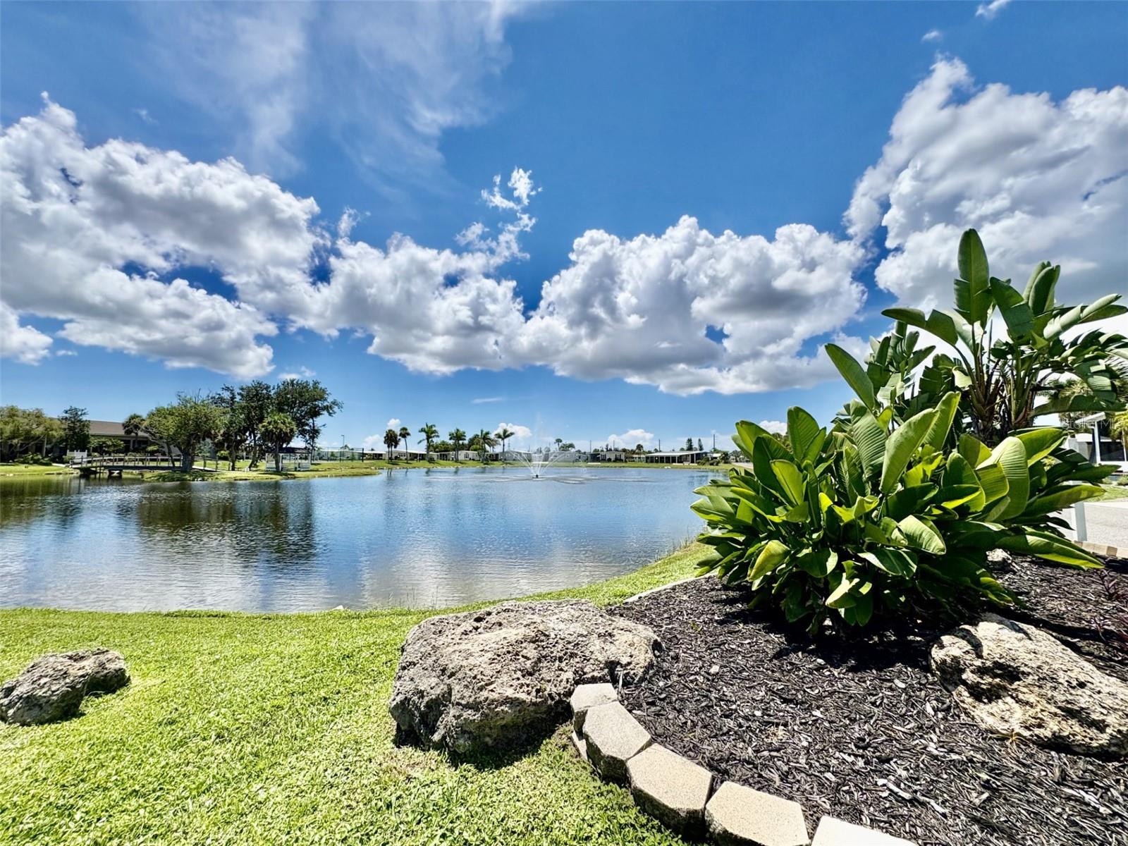 Image 56 of 69 For 113 Rarotonga Road