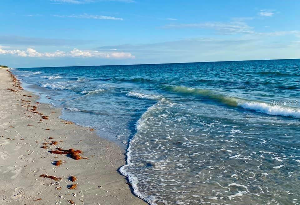 Image 66 of 69 For 113 Rarotonga Road