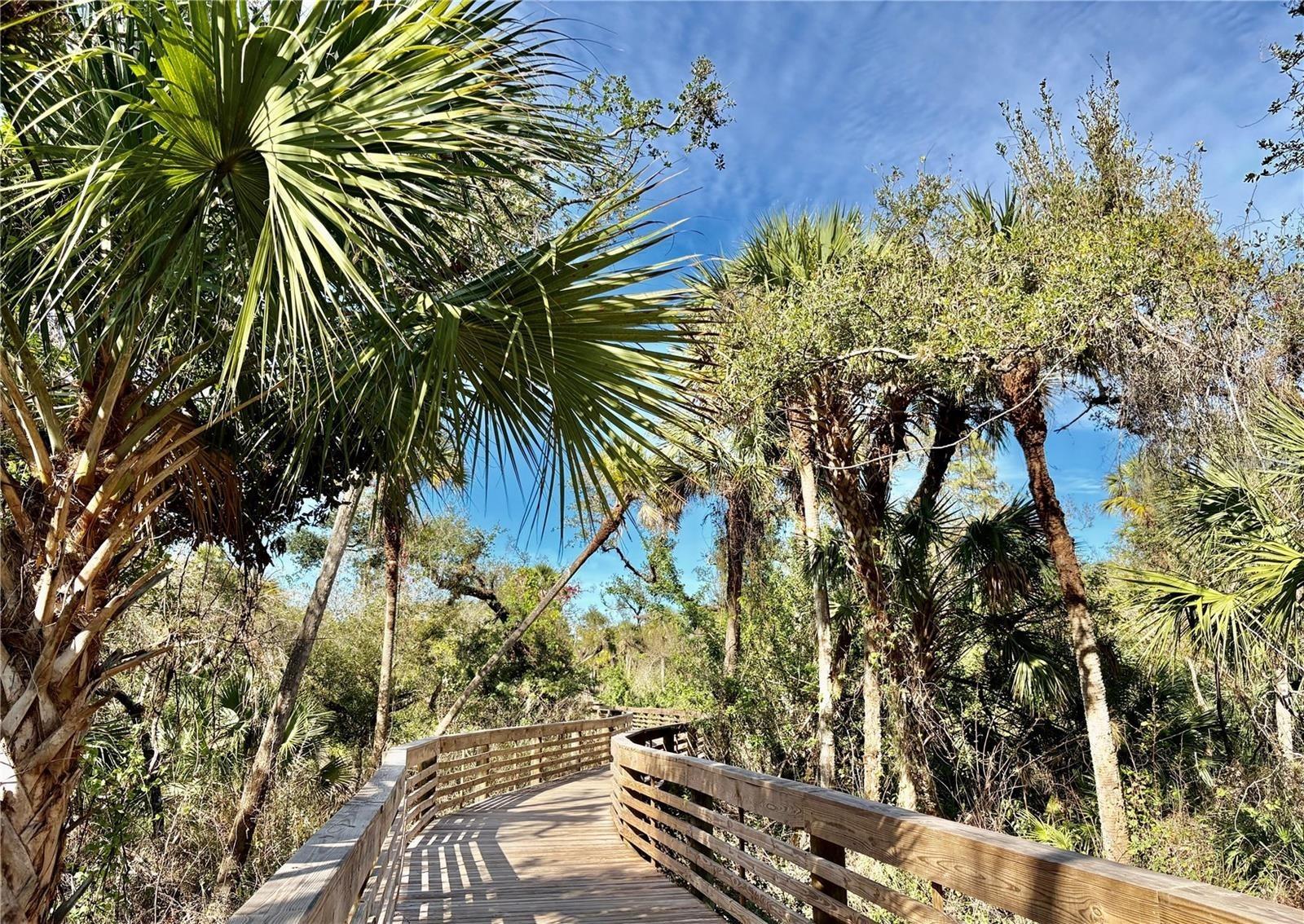 Image 68 of 69 For 113 Rarotonga Road