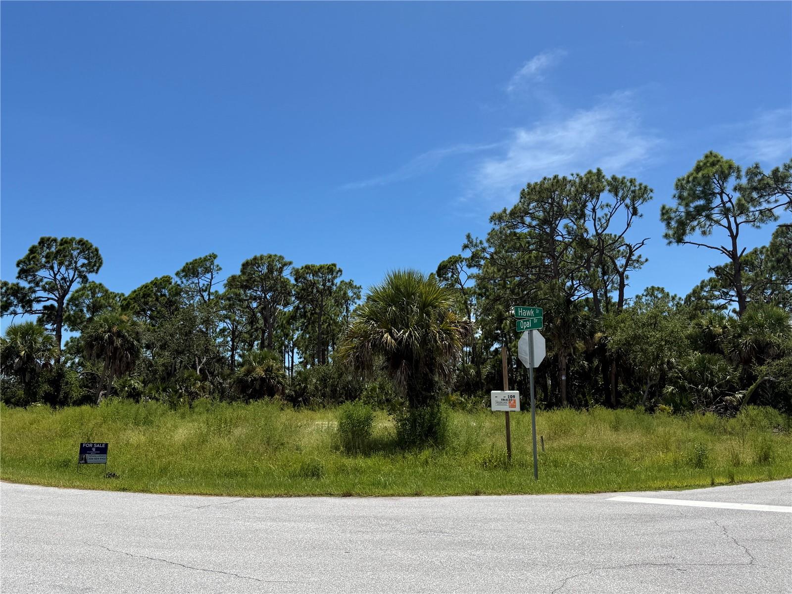 Image 5 of 6 For 109 Hawk Drive