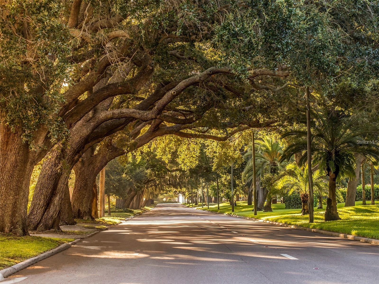 Image 49 of 55 For 503 Tamiami Trail 301