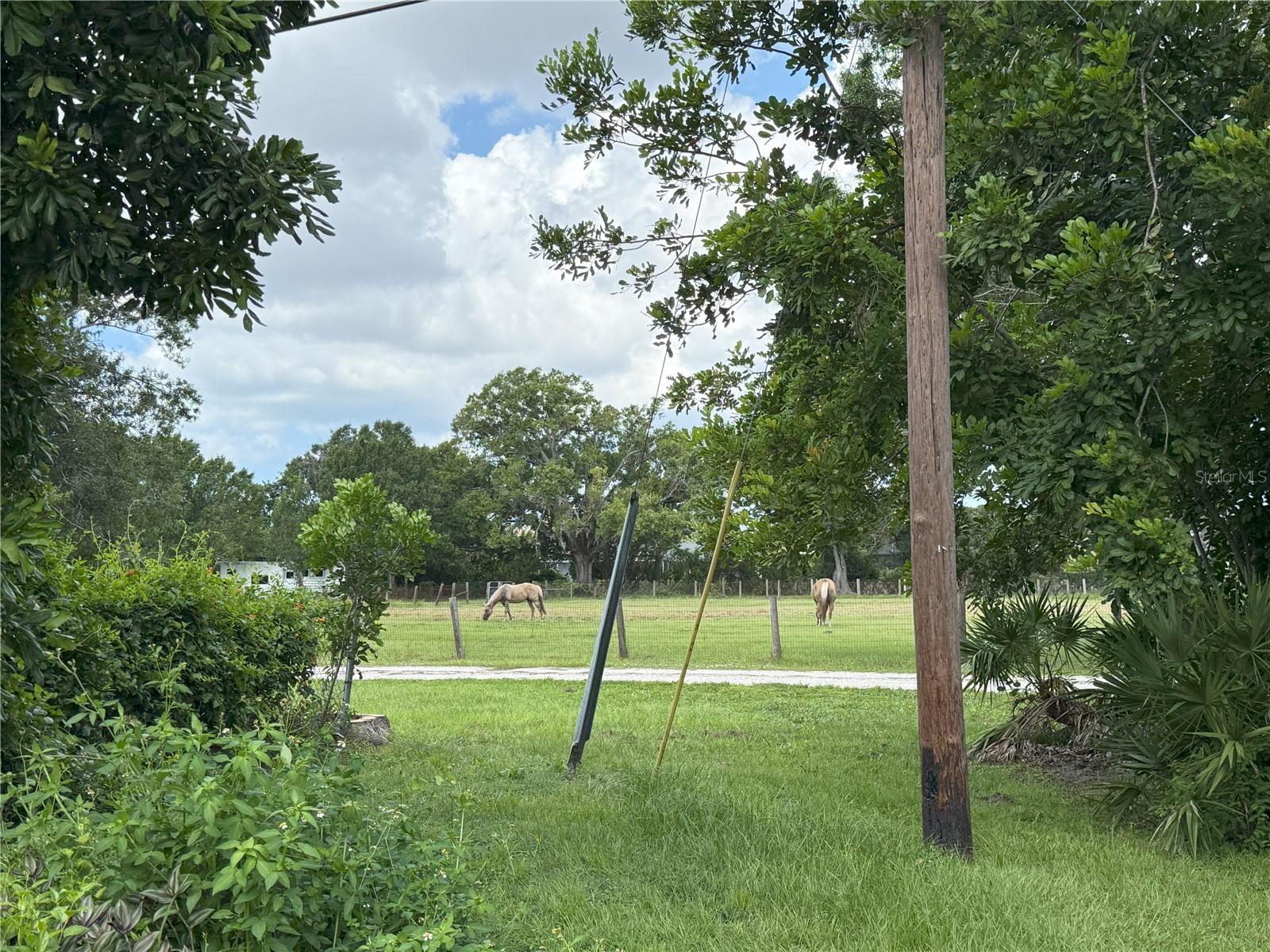 Image 12 of 12 For 4876 Greenleaf Road