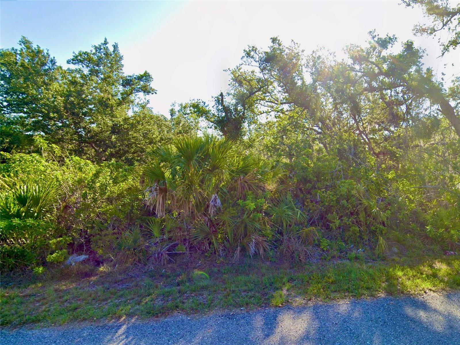 Image 6 of 10 For Santa Rosa Street