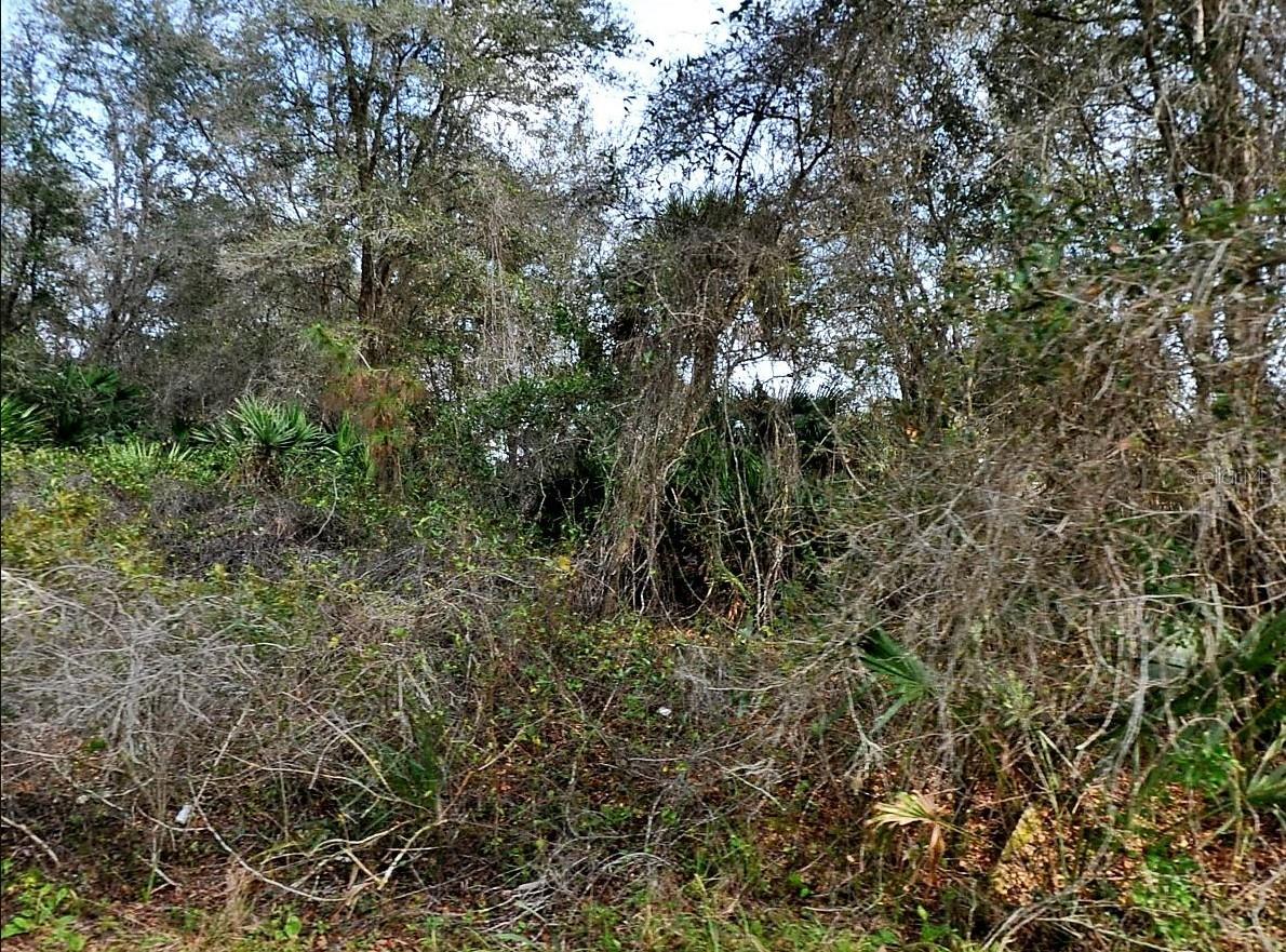 Image 4 of 4 For Gilbert Street