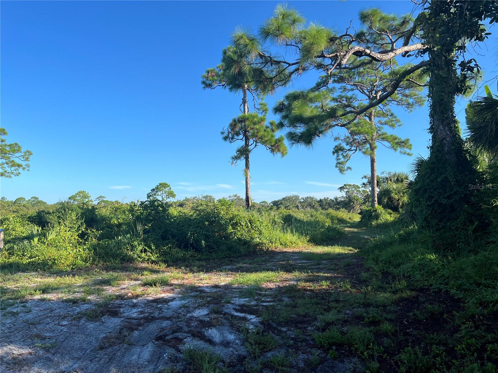 Image 13 of 16 For  Euclid Road 