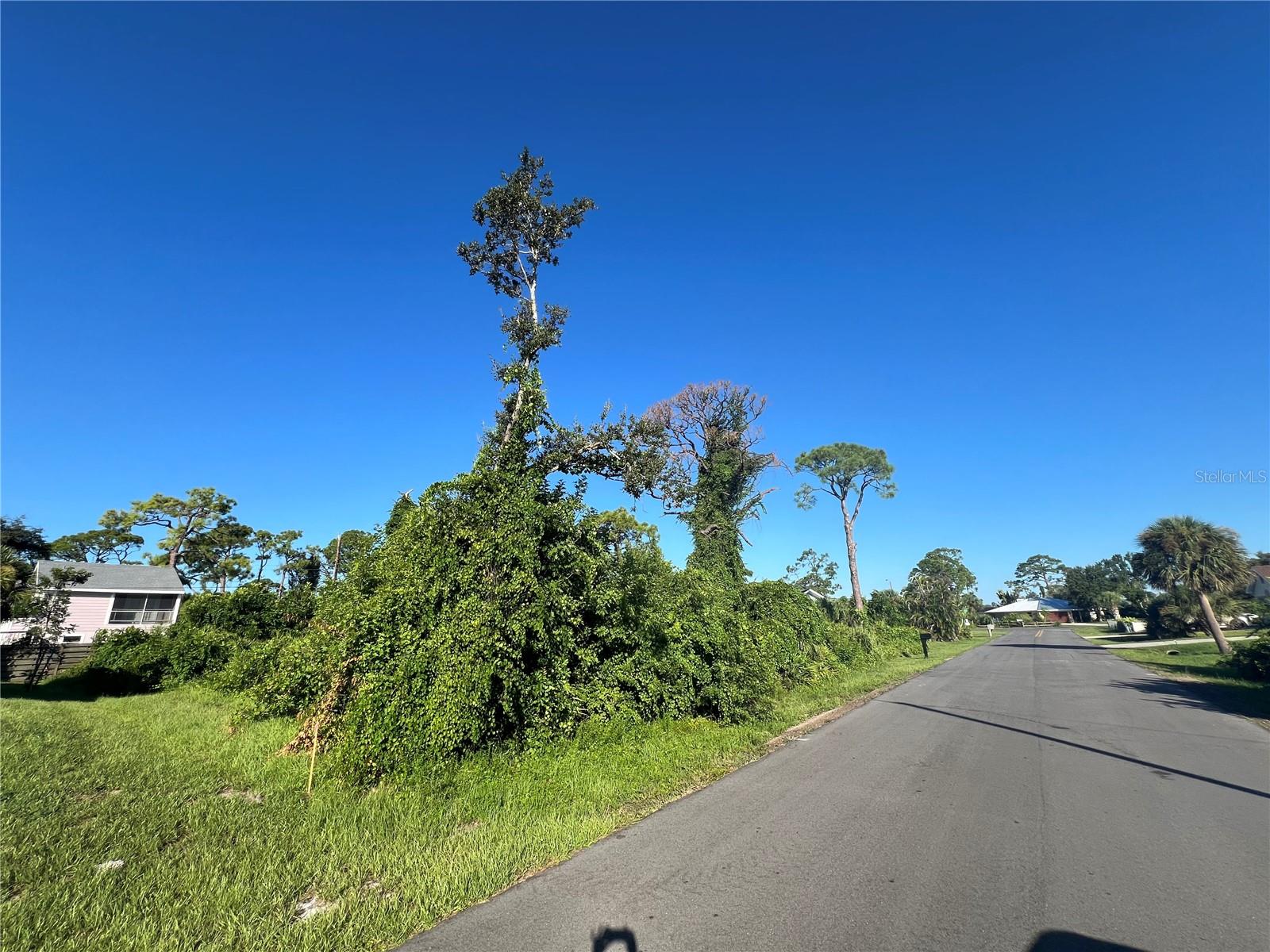 Image 16 of 16 For  Euclid Road 