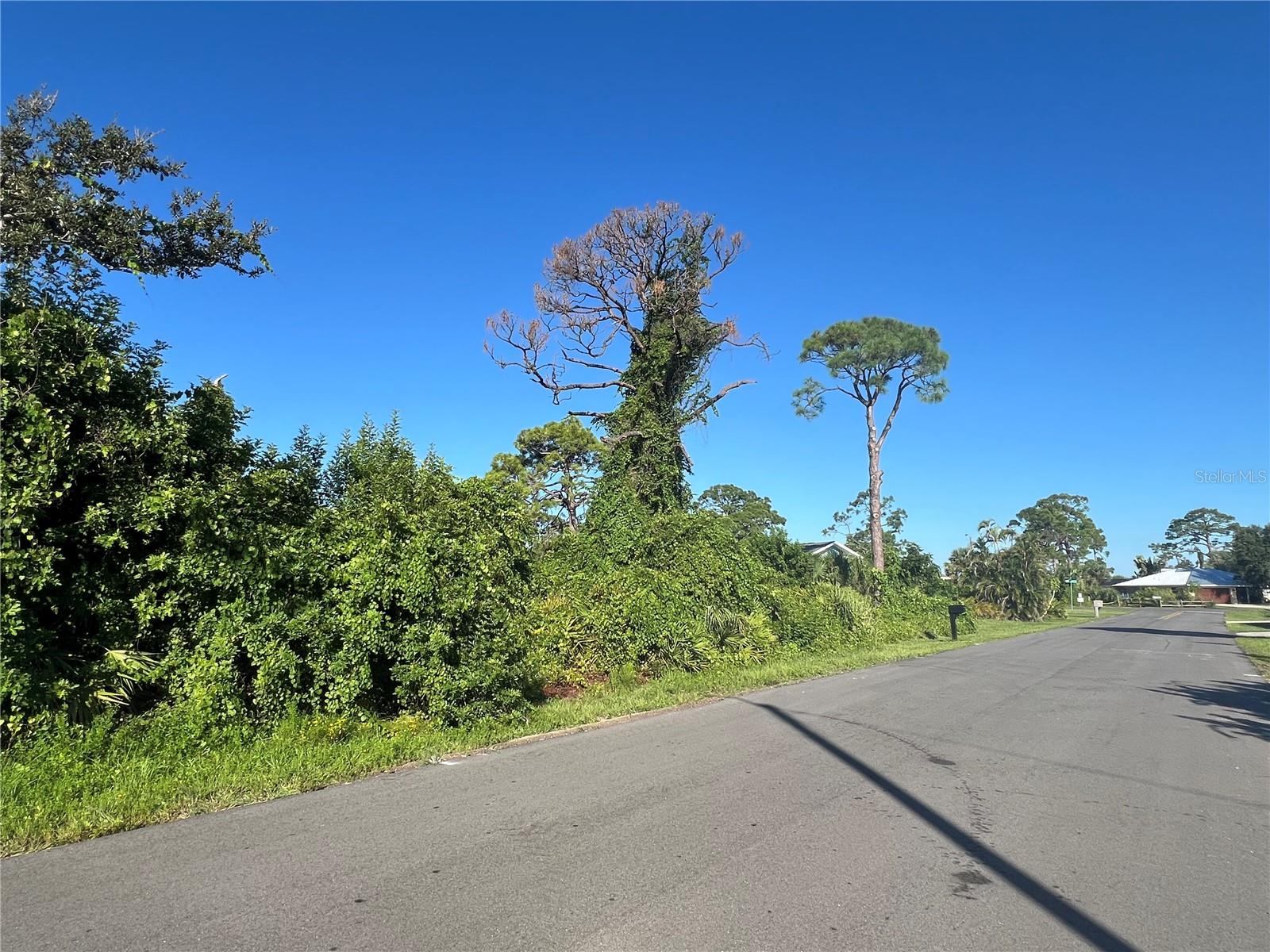 Image 2 of 16 For  Euclid Road 