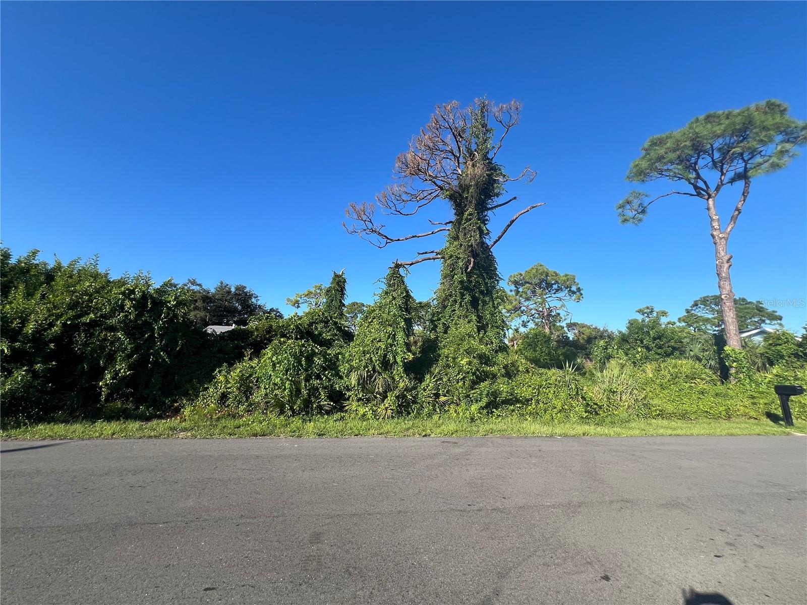 Image 6 of 16 For  Euclid Road 