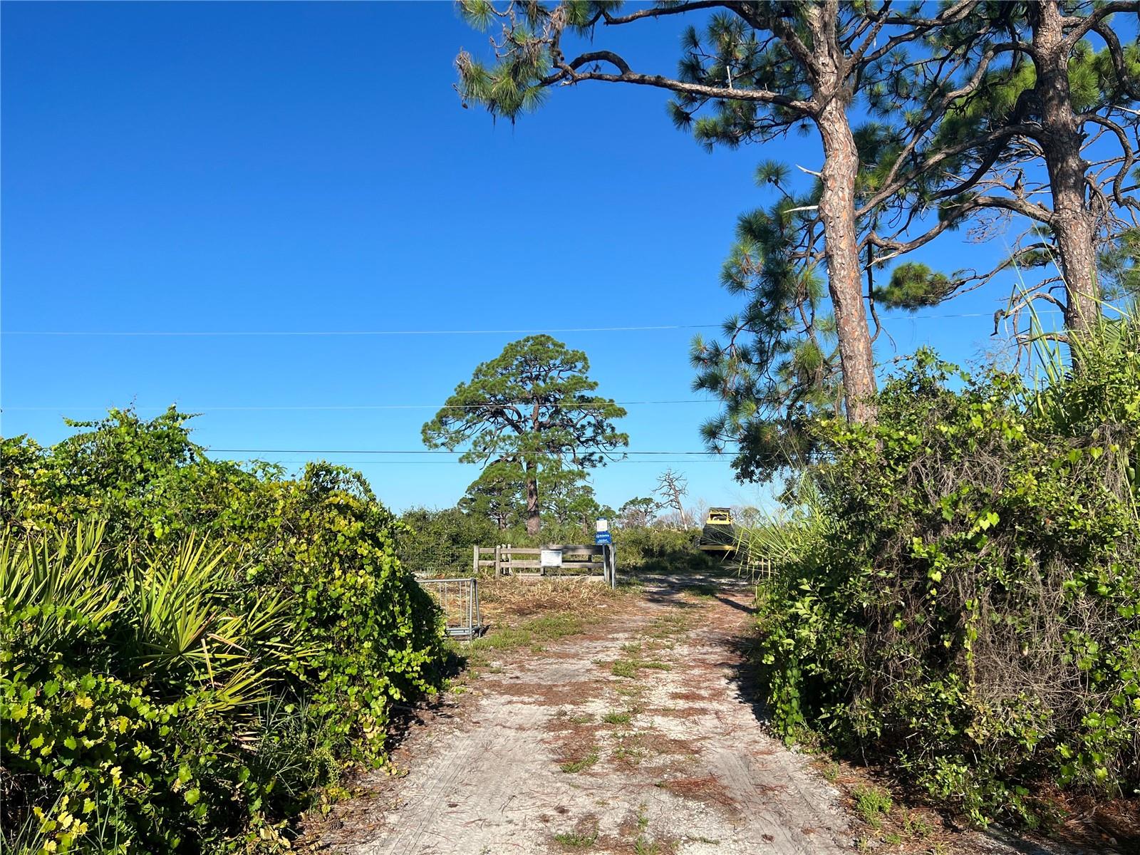 Image 8 of 16 For  Euclid Road 