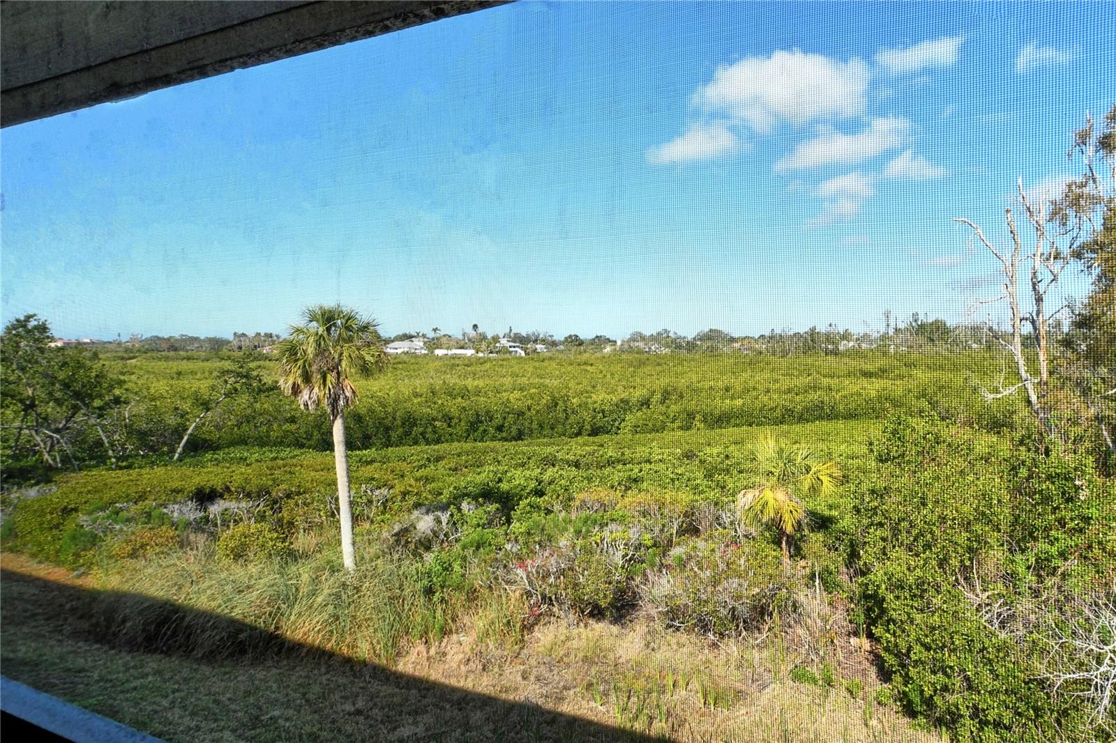 Image 14 of 50 For 1106 Bird Bay Way 316