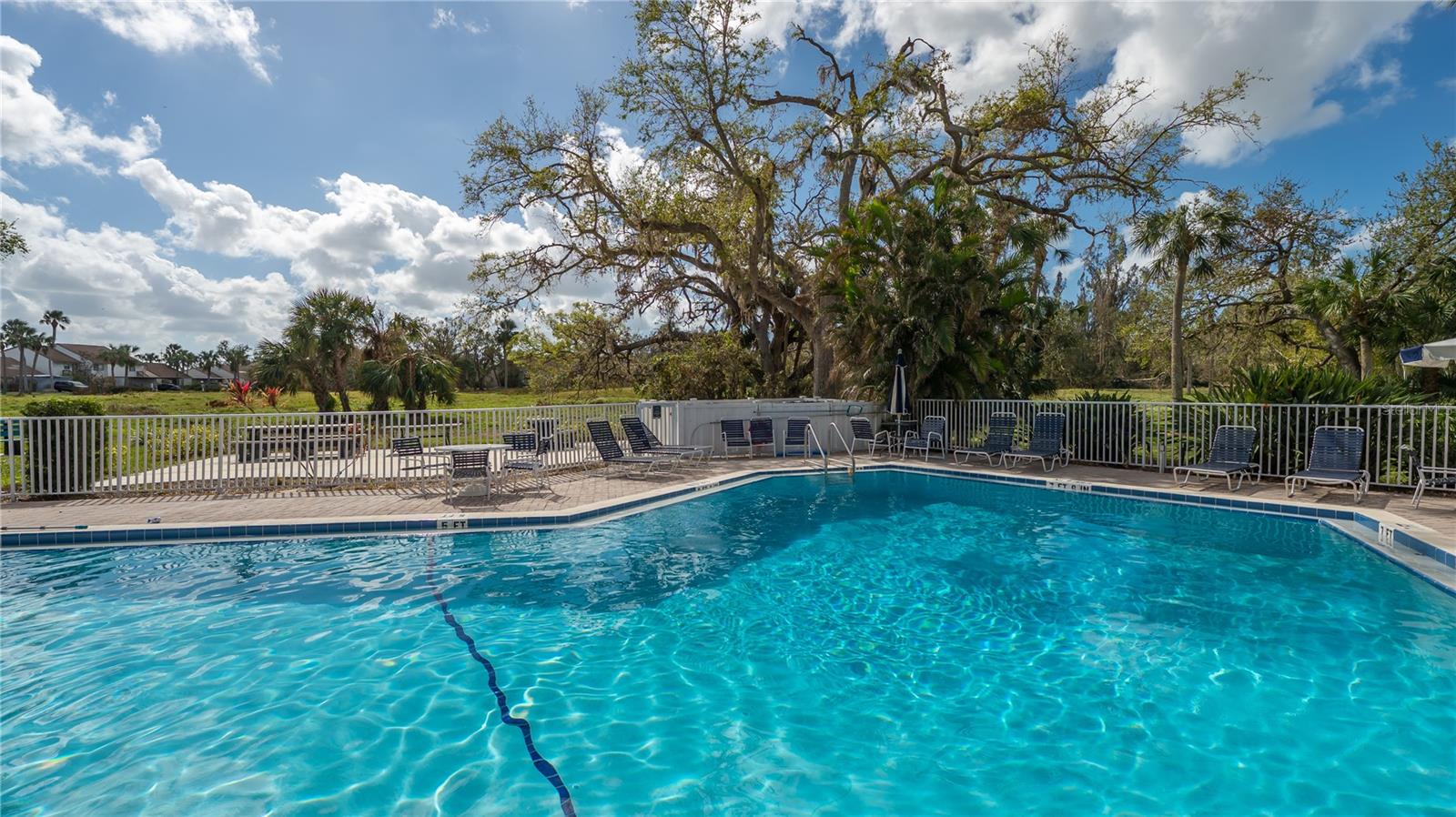 Image 39 of 50 For 1106 Bird Bay Way 316