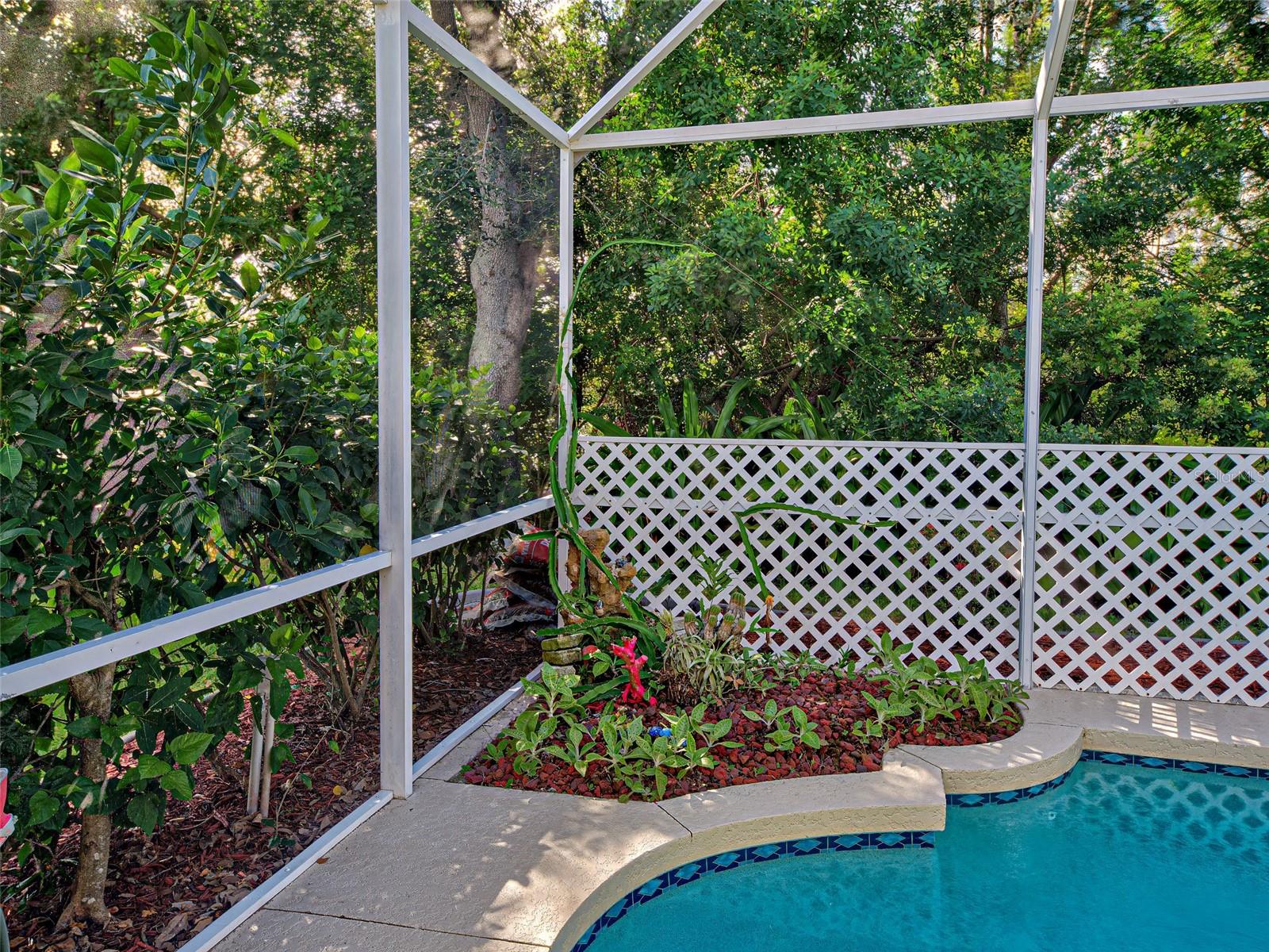 Image 41 of 50 For 4220 Tennyson Way