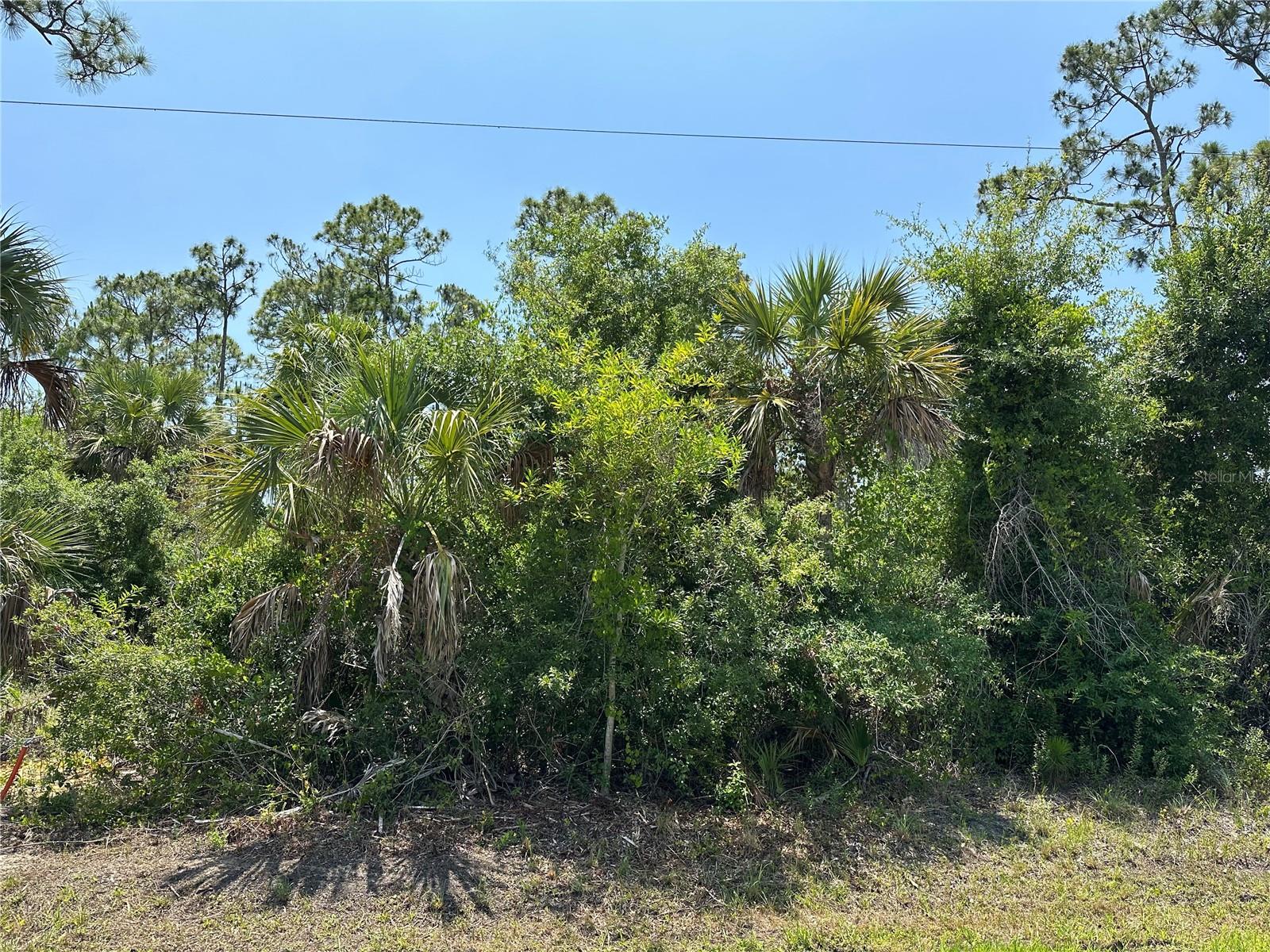 Image 2 of 3 For 12091 Green Gulf Boulevard