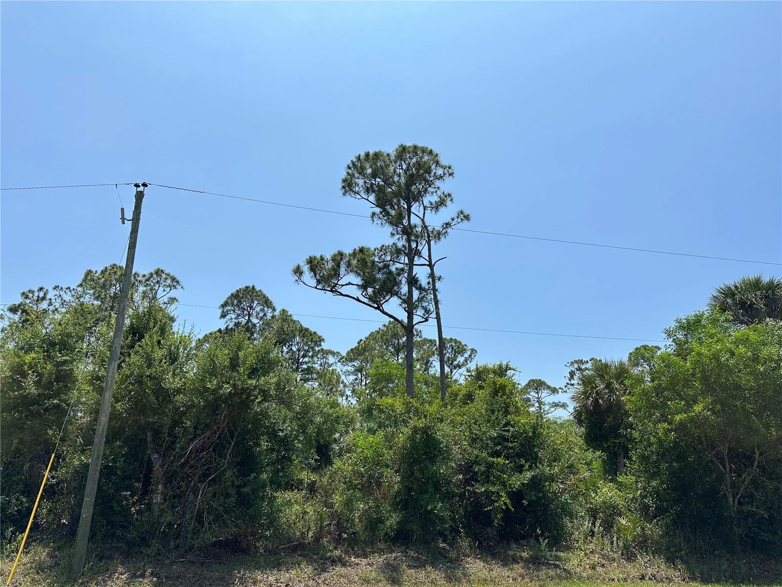 Image 3 of 3 For 12091 Green Gulf Boulevard