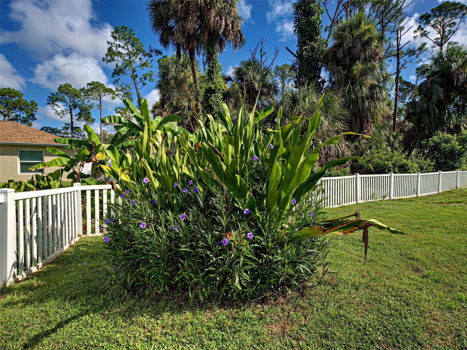 Image 72 of 87 For 3286 Henderson Lane
