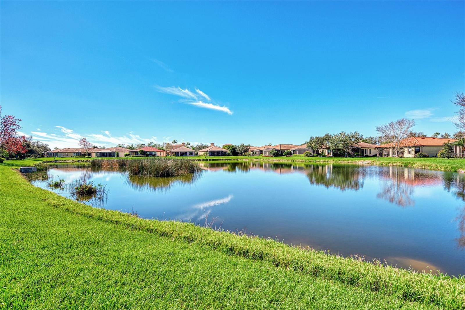 Image 48 of 53 For 20619 Capello Drive