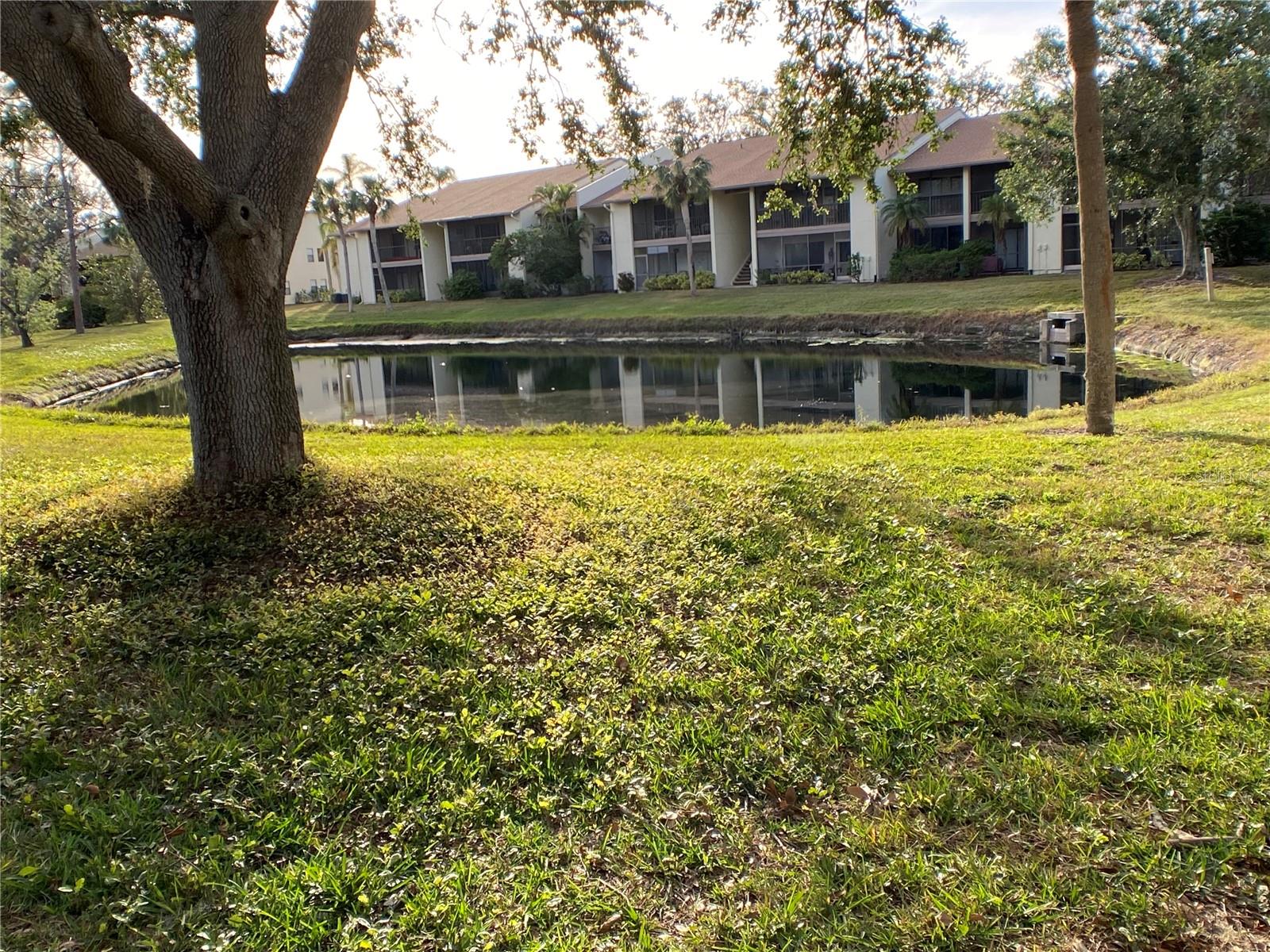 Image 5 of 26 For 654 Bird Bay Drive E 106