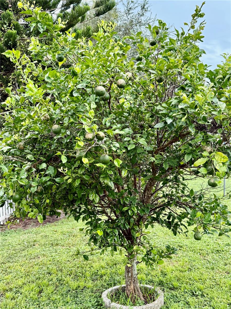 Image 27 of 27 For 5302 Trekell Street