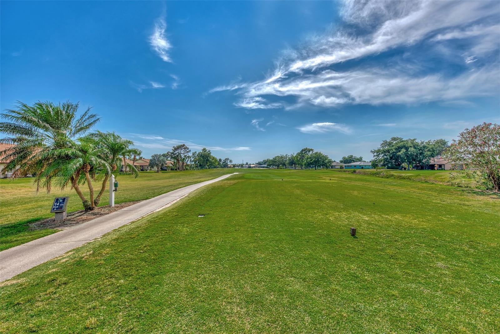 Image 60 of 66 For 1211 Capri Isles Boulevard 92