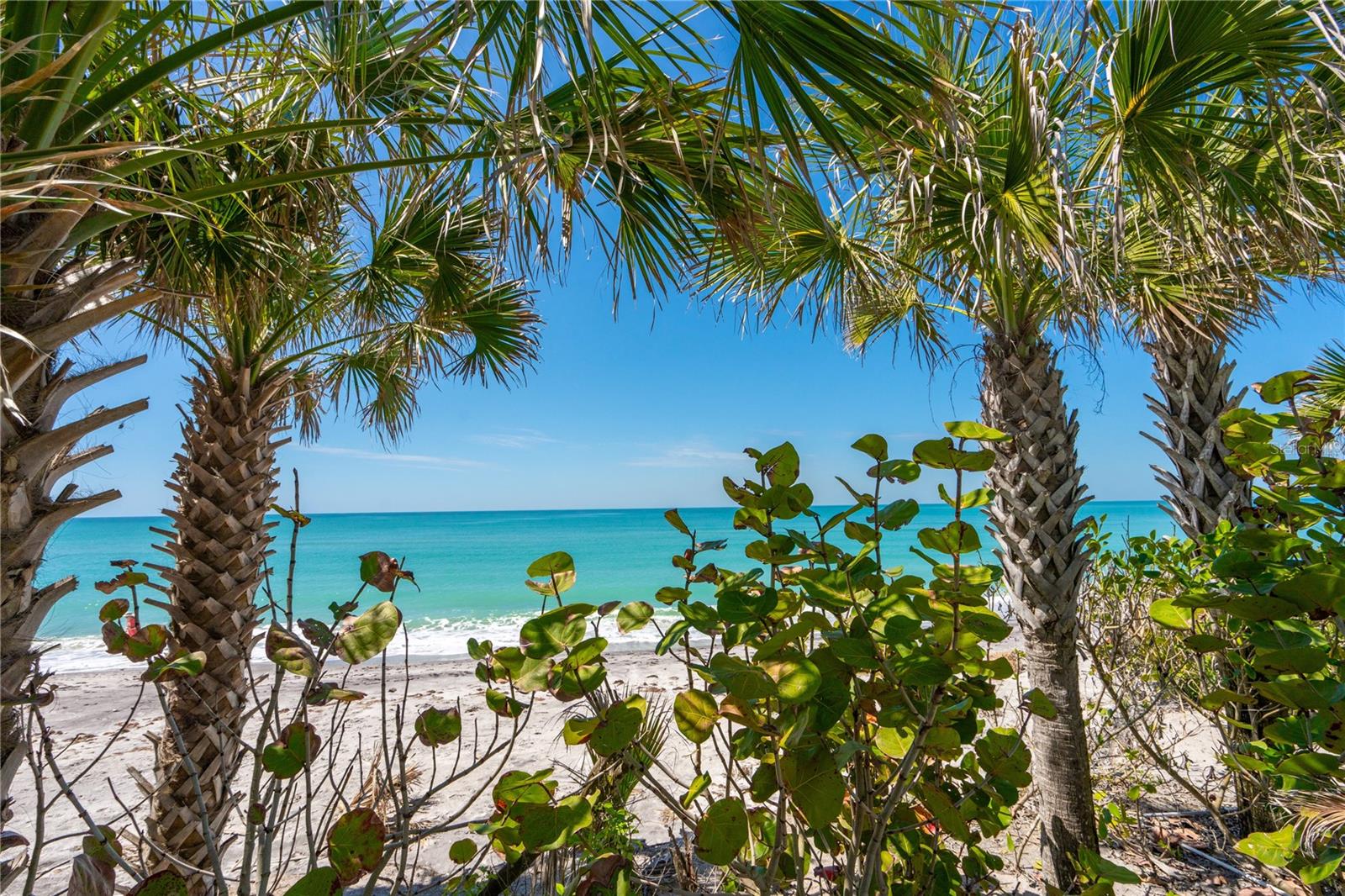 Image 30 of 38 For 779 Manasota Key Road