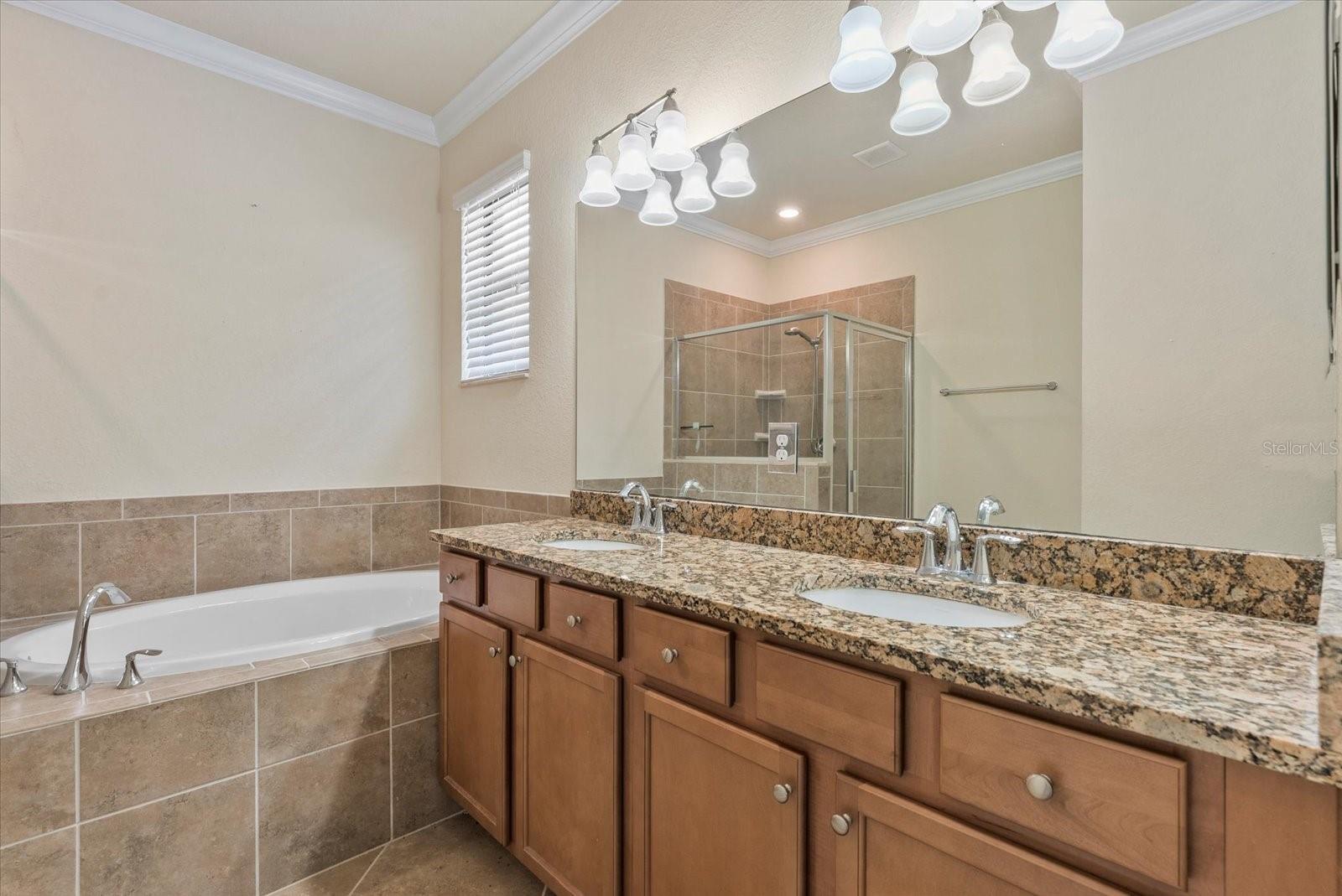 Image 36 of 62 For 12285 Canavese Lane