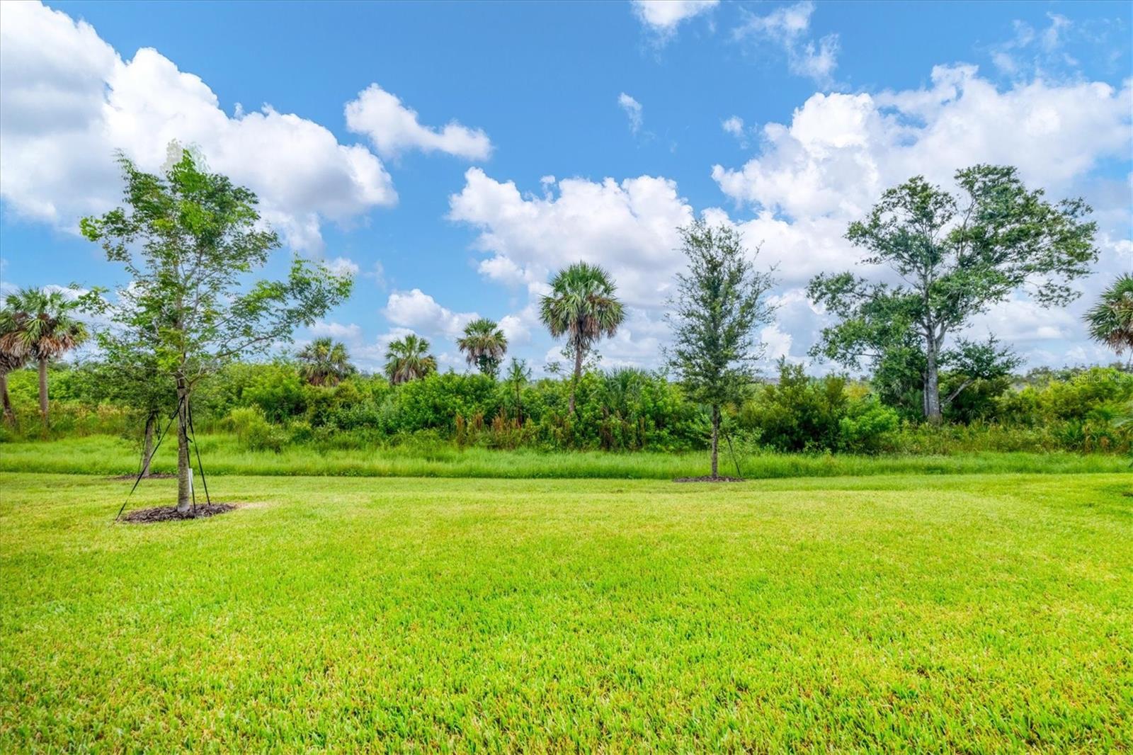 Image 36 of 73 For 17953 Grand Prosperity Drive