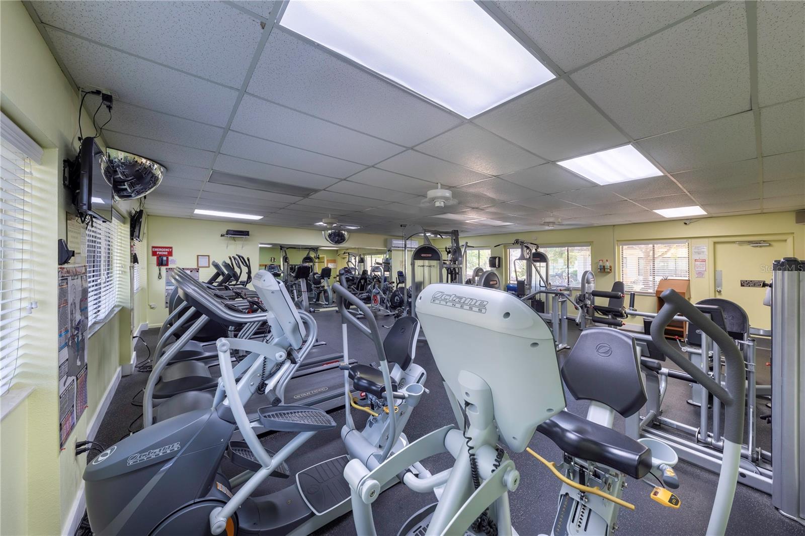 Image 42 of 43 For 1176 Bird Bay Way 207