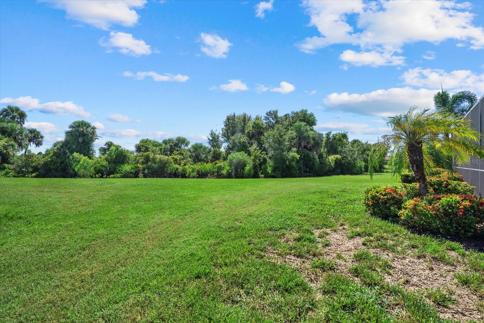 Image 36 of 68 For 10189 Fiddlewood Drive