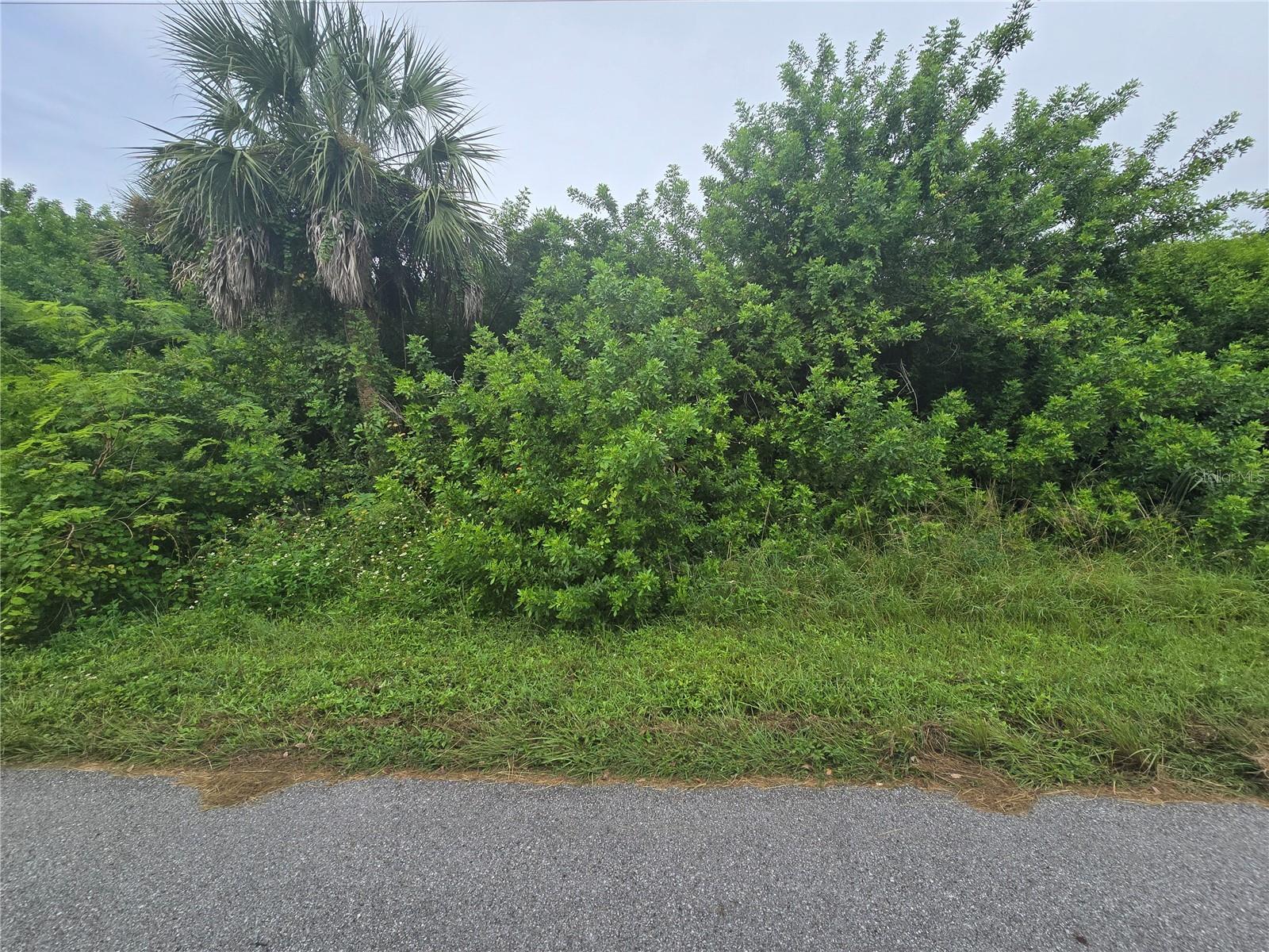 Image 10 of 18 For 4169 Joseph Street